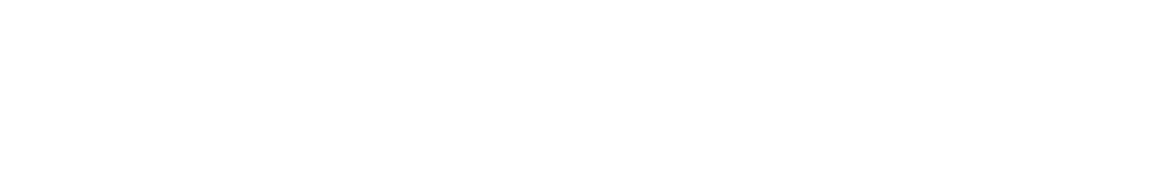The Deep Clean Team logo